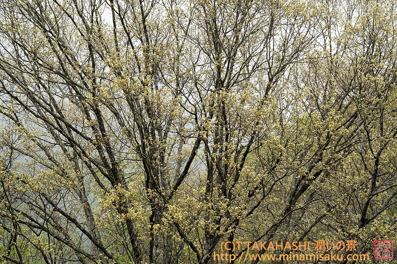 ../Images/7R250510 (21).jpg